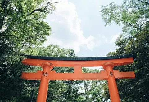 Доступное обучение в Японии в 2023: изучение японского языка, знакомство с культурой 