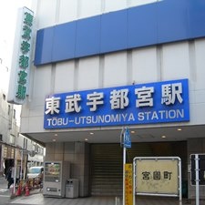 Хотите учиться не в Токио? Знакомьтесь, Уцуномия и школа TIEI!