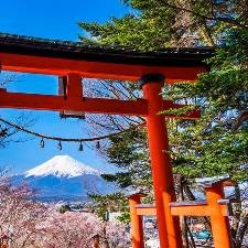 Какое время года лучше подходит для поездки в Японию?